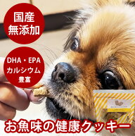 犬 おやつ ビスケット・クッキー まるごとフィッシュクッキー75g　無添加 国産 低脂肪 犬 の おやつ カル…