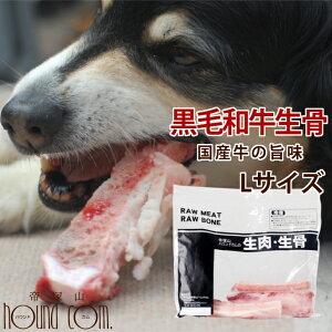 y|Cg2{N[|zzzјa̐IYf^{[ LTCYi^pj  H 育͂   hbOt[hf^PA t[h {[ p