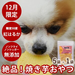 yP2{N[|zzzy12z  Y Y Ă ܂ S̎R̂ ۑsgp g͂邩 bp Ăׂ 40g 5܃Zbg{1܃v