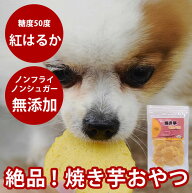 【割引クーポン配布中】犬 小麦アレルギー対応 おやつ 無添加 国産 低脂肪 焼き芋せんべい 40g さつまい…