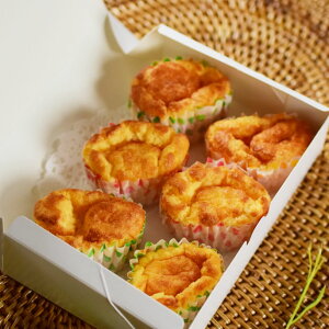 yN[|zzz tPA bH̎`[YXt 6 Y ჊ Ⴝς V 炩 ⏕ a LÕP[Lɂ