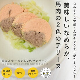 【P2倍＆割引クーポン配布中】犬 手作り ご飯 馬肉とサーモンの2色のテリーヌ 6個/12個/24個/セット 【ハウンドカム食堂】