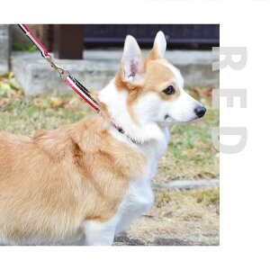    gR[ `F[X n[t`[N STCY ^p ASHU ˎRnEhJ h~ ^ g[jÔł ɂȂ ߉\ v~AJ[ 