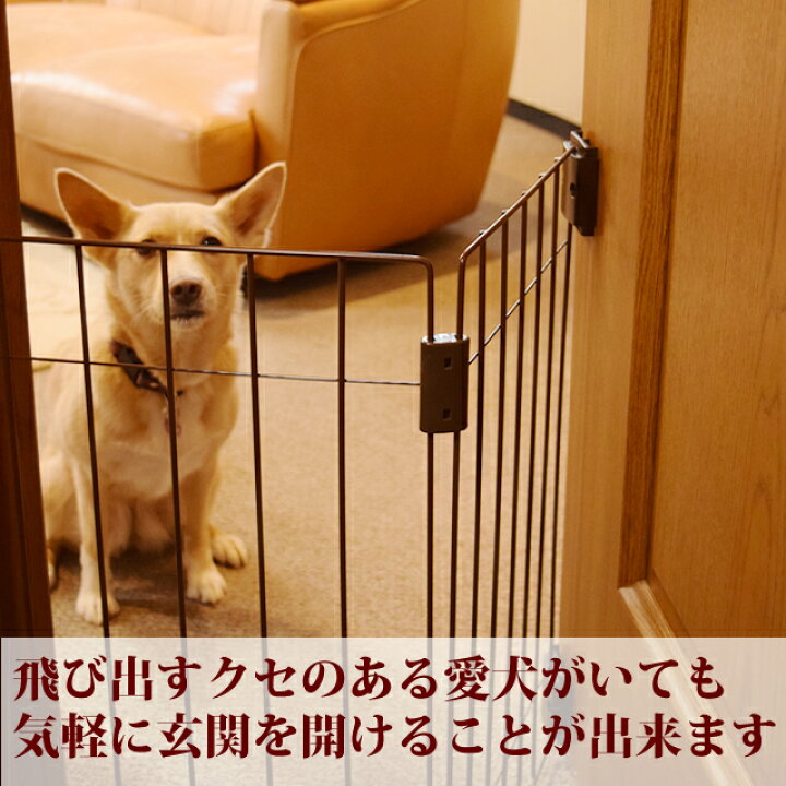 楽天市場 犬 ウェルカムドッグフェンス 玄関 脱走防止 愛犬が一緒にお出迎え 小型犬用 折りたためる 両面テープで取り付けができる 送料無料 愛犬 手作りご飯 ハウンドカム食堂