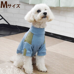 p@H~EFA@̕@Cinofilo bt؂ւnClbN MTCY p EFA@H~@@ˎRnEhJ