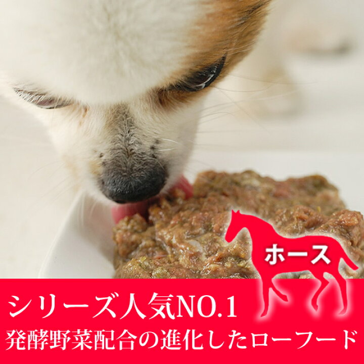 楽天市場 犬 生肉 無添加 ドッグフード ボーン Bone ホース 魚 1 1kg 生食 ローフード 野菜入り 酵素 乳酸菌 生骨 子犬の離乳食 老犬の流動食 介護 消化 無添加ドックフード ペット 高齢犬 シニア 肉 犬用生肉 フード 犬の生肉 帝塚山ハウンドカム 首輪 ハーネス