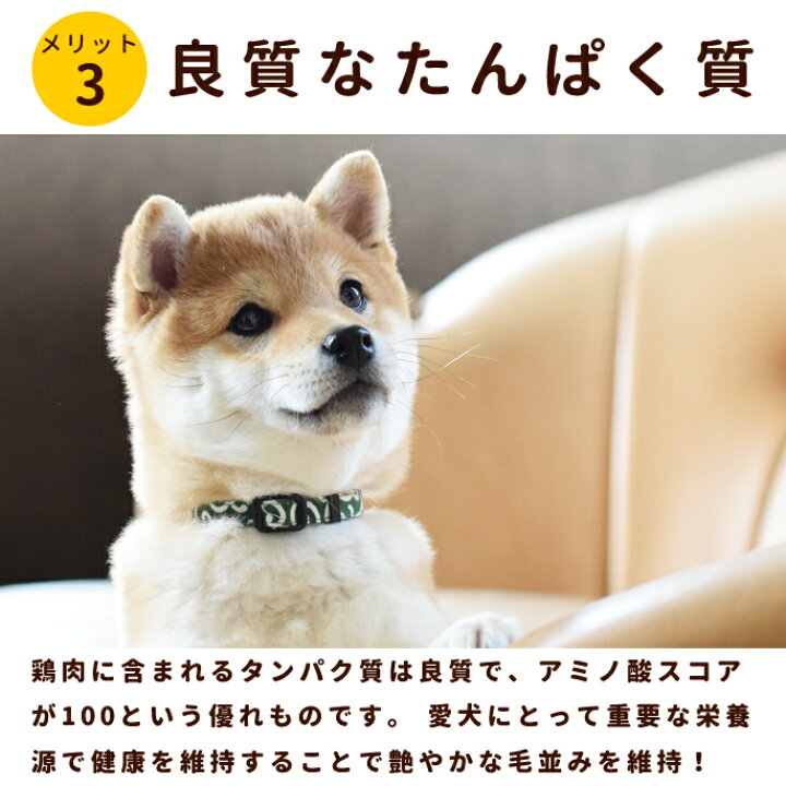 楽天市場 犬 生肉 国産鶏のネック骨ごとミンチ10kg 国産 鶏 犬 手作り食 猫フード カルシウム 酵素たっぷり生骨入り ドッグフード 鶏肉 犬用生肉 ドックフード ペット用品 チキン 鳥肉 ミンチ 犬のえさ A0017 帝塚山ハウンドカム 骨まで細かいミンチになりました