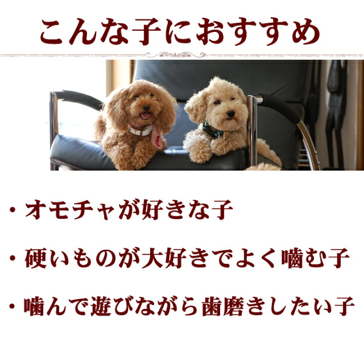 楽天市場 犬用おもちゃ 天然木デンタルダンベルss 小型犬 歯磨き 噛むおもちゃに安全な木のおもちゃ 国産 山桃の木 子犬 ペット用玩具 犬の歯磨き 犬おもちゃ 策 犬のおもちゃ ドック 愛犬手作りご飯 ハウンドカム食堂