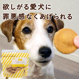 犬 おやつ 無添加 国産 腸活！きな粉ヨーグルトのしっとりクッキー【冷凍便】犬 薬 飲ませる おやつ 腎臓 カルシウム 消化 しつけ ドッグフード ペットフード しっとり 柔らかい 低リン 低ナトリウム 低カリウム 帝塚山ハウンドカム