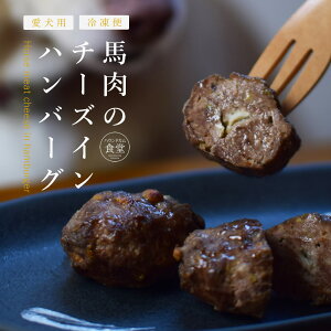 犬用 お惣菜 馬肉のチーズインハンバーグ 冷凍便 国内製造 ドッグフード 手作り 無添加 簡単 便利 犬の冷凍ご飯 フレッシュフード 手作りごはん 馬肉 低アレルゲン 食物アレルギー 低アレル