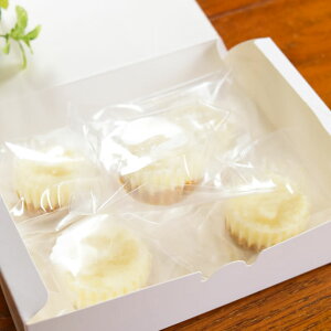 yP2{N[|zzz  tb背A`[YP[L 6 Y p aP[L VjA t ჊ Ⴝς Oet[ EE哤sgp qVj