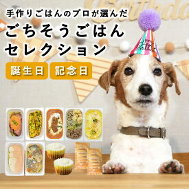 犬 手作りご飯｜ごちそうごはんセレクション（9種）無添加 誕生日 ご飯 記念日 パーティー ディナー クリスマス お正月 おせち 料理 犬用 ごはん 冷凍 ケーキ おやつ プレゼント ギフト ペット 子犬 老犬 シニア