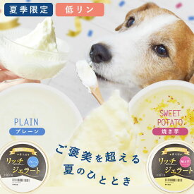【割引クーポン配布中】犬 アイス 濃厚ヨーグルト リッチジェラート2種6個セット 無添加 手作り 冷たい おやつ クールダウン 水分補給 アイスクリーム 熱中症 対策 ドリンク お腹にやさしい プレゼント ご褒美 デザート 高級 帝塚山ハウンドカム