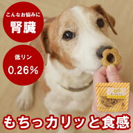 【割引クーポン配布中】犬 おやつ 腎臓｜和そばぼうろ 60g 無添加 国内製造 ドッグフード 低リン 腎臓に…