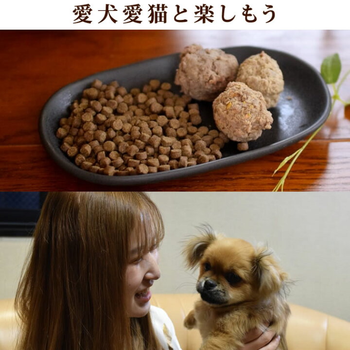 楽天市場 犬猫用 3種の馬肉団子 6個入り プレーン ミルク 野菜各2個 ミートボール 乳酸菌 玄米微粉末を練り込んだお団子 犬用 プレゼント 加熱食 海藻 シニア で 手作り食 ヤギミルク入りミルク団子 愛犬手作りご飯 ハウンドカム食堂