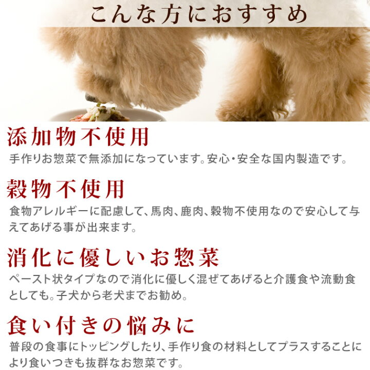 犬猫用ケーキおやつ帝塚山ワンバナ犬用手作り食 ドッグフード トッピング かんさい情報ネットten 読売 大山鶏むね肉のポトフ 放送 しじみ汁煮込み 手作り ｔｖ