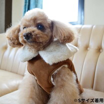 楽天市場】チノフィロ mサイズの通販