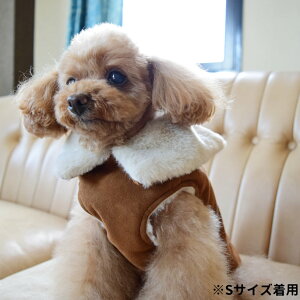 2021NV@p@H~EFA@̕@`mtB@ tFCNXG[ht@[WPbg LTCY I[u/J@H~@@ˎRnEhJ@`@[L[@^@^