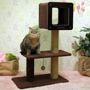 _[XNb`@~fBAH90 Lbg^[@Lp@@u^@ȃXy[X