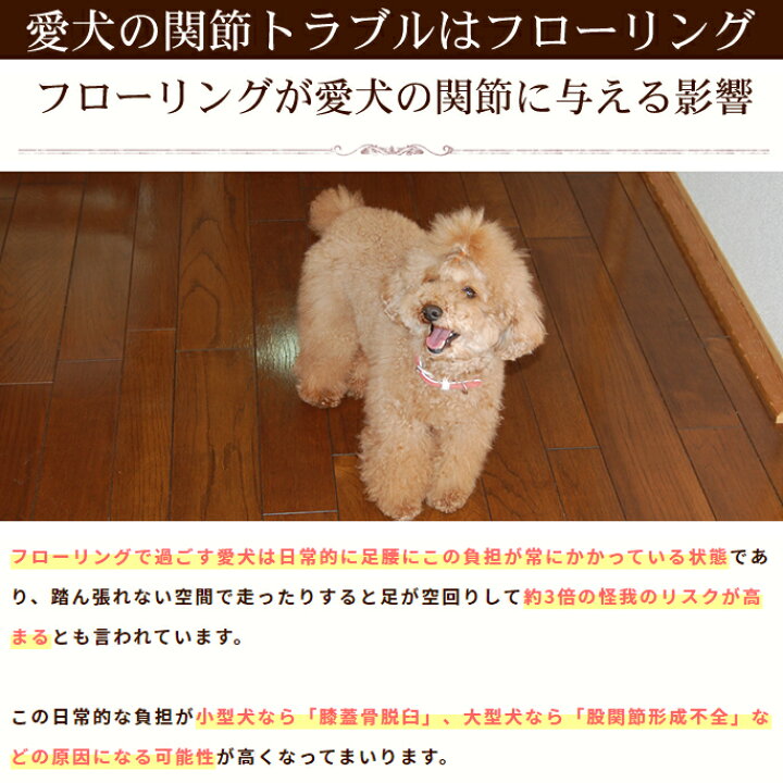楽天市場 おくだけ撥水吸着タイルマット 25 25cm 50枚セット 吸着マット 防音 犬用マット カーペット 階段 滑り止めマット 傷防止 ペット タイルマット ペットマット タイルカーペット フローリング 老犬 高齢犬 シニア 洗える ペット用品 帝塚山ハウンドカム 愛犬