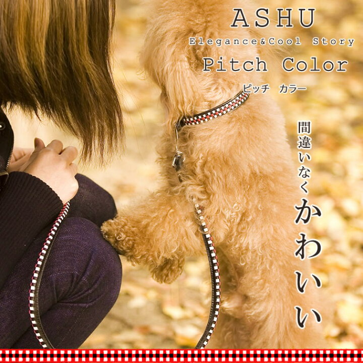 大人も着やすいシンプルファッション Choonsik ペット用 首輪ashu ピッチ リード サイズ ｓ 犬 おしゃれ お散歩 革 レザー 犬リード 犬用 犬のリード ペットリード 小型犬 仔犬 散歩用リード チワワ トイプードル 猫 ダックス パグ コーギー ペット ドッグ