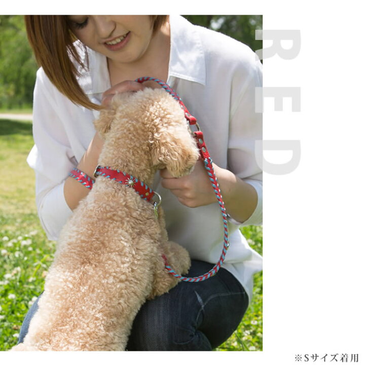 楽天市場 犬 リード Ashu サイドループレザーリード Sサイズ ペット用品 いぬ イヌ 革 レザー 首輪 犬用リード 犬リード 犬用首輪 かわいい 犬の首輪 おしゃれ ドッグ ブランド 犬用品 犬のリード ペットグッズ わんちゃん 犬グッズ 犬のかわいいリード 帝塚山ハウンド