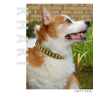 yN[|zzz  ASHU XebvJ[ M y[h͕ʔz ^ vȕɂ ȒP^b` iC z{ uh