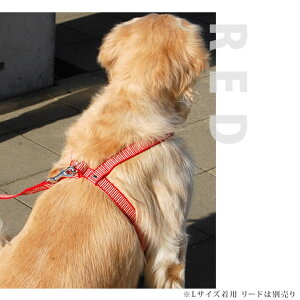 yN[|zzzn[lX ASHU Xebvn[lXM ^ ybg  iC z [h@AbV@̏ォ@V n[lX  VjA 