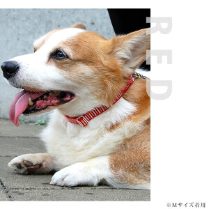 ^ n[t`[N ASHU Xebvn[t`[NL  lC̐ h~̂ ̃[h