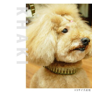 yN[|zzz^ n[t`[N ASHU Xebvn[t`[NL  lC̐ h~̂ ̃[h