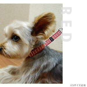 ASHU*STEP[Xebv]`[NJ[[MTCY] [`50cm] y[h͕ʔz  `[NJ[ S`[N g[jO  ^   TCYʌ\L `[N Č 