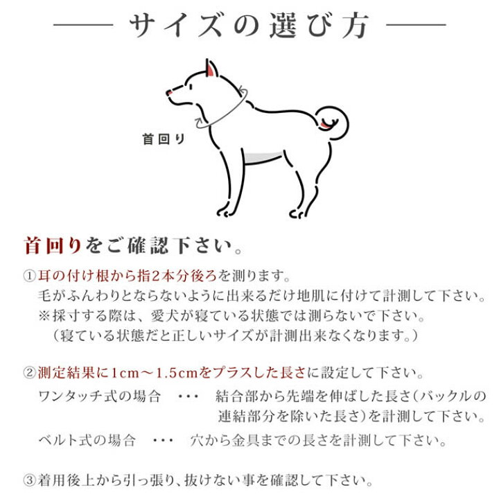 楽天市場 犬 首輪 Ashu ステップカラー M リードは別売り 中型犬 革が苦手な方におすすめ 簡単ワンタッチ ナイロン 布製日本製 ブランド 愛犬手作りご飯 ハウンドカム食堂