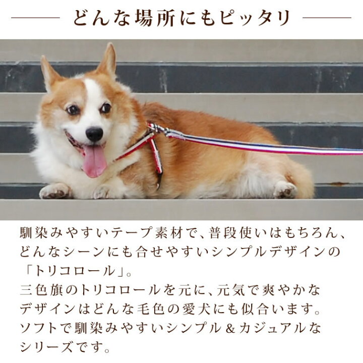楽天市場 犬 ハーネス 小型犬 Ashu トリコロールハーネス S 胴輪 猫 簡単8の字ハーネス トイプードル ダックス 子犬 あす楽対応 近畿 ハーネス ハーネスリード 犬用 犬ハーネス 犬ハーネスリード チワワ パグ 犬用ハーネス 犬のハーネス 犬のリード 散歩 犬の 楽天市場 犬 ハーネス 小型犬 Ashu トリコロールハーネス S 胴輪 猫 簡単8の字ハーネス トイプードル ダックス 子犬 あす楽対応 近畿 ハーネス ハーネスリード 犬用 犬ハーネス 犬ハーネスリード チワワ パグ 犬用ハーネス 犬のハーネス 犬のリード 散歩 犬の