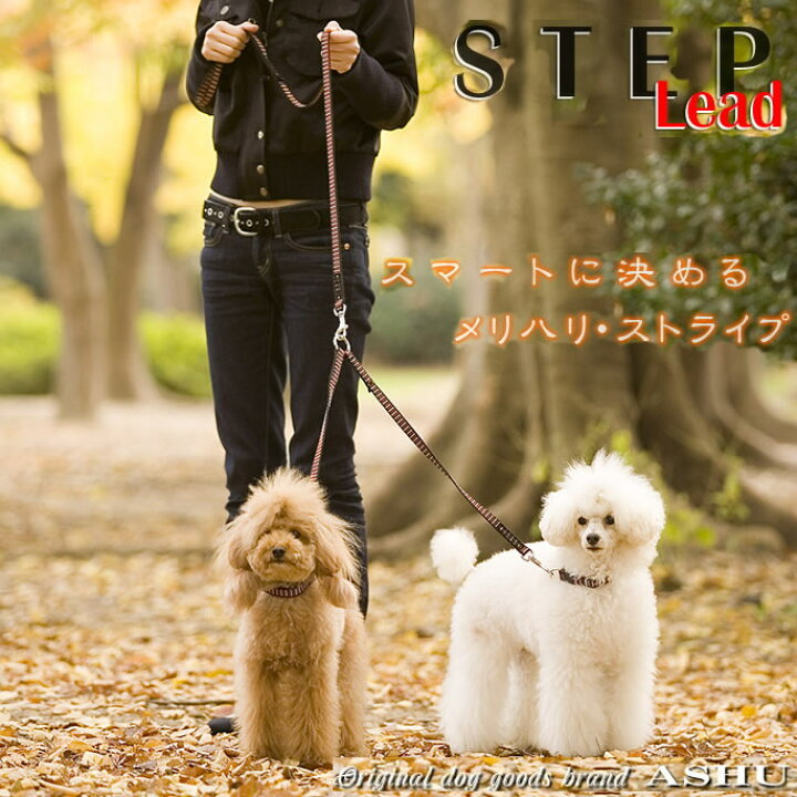 楽天市場 犬 2頭引きリード Ashu ステップ 2頭引きリードセット 多頭飼い 2匹用 小型犬 Step 送料無料 犬のリード 犬用リード ペット 首輪 犬リード 犬用首輪 かわいい 犬の首輪 トイプードル パグ おしゃれ ドッグ チワワ ダックス ブランド グッズ 犬用品 犬の 楽天市場 犬 2頭引きリード Ashu ステップ 2頭引きリードセット 多頭飼い 2匹用 小型犬 Step 送料無料 犬のリード 犬用リード ペット 首輪 犬リード 犬用首輪 かわいい 犬の首輪 トイプードル パグ おしゃれ ドッグ チワワ ダックス ブランド グッズ 犬用品 犬の