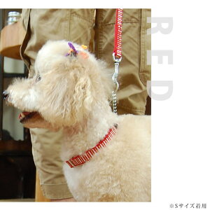   ASHU*STEP[Xebv]n[t`[N[MTCY][h[STCY]