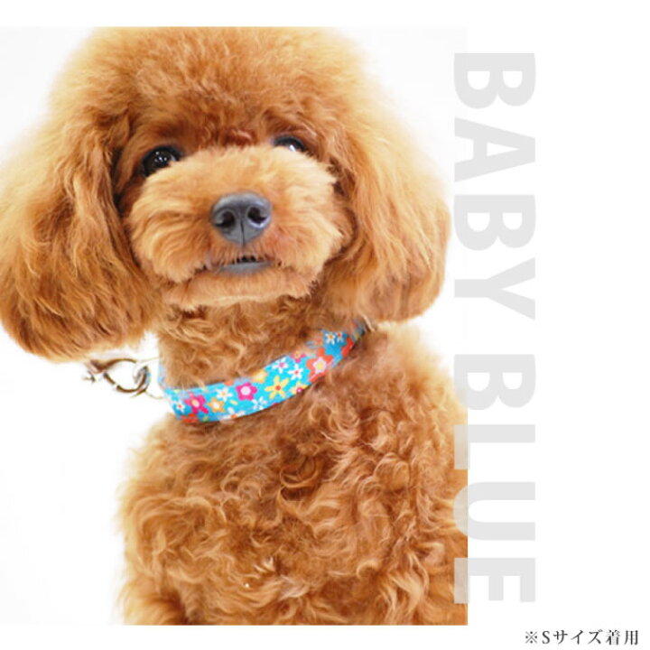 楽天市場 犬 首輪 Ashu お花のカラーｍサイズ 中型犬 中型犬用首輪 花柄 柴犬 ブルー かわいい花柄 ブルー ブラック いぬ イヌ 犬 ペット 種類 犬のアクセサリー コーギー 犬用首輪 かわいい 犬の首輪 フレンチブルドッグ 帝塚山ハウンドカム グッズ ブランド わん