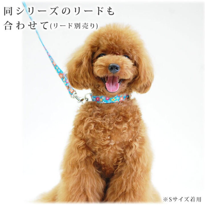 楽天市場 犬 首輪 Ashu お花のカラーｍサイズ 中型犬 中型犬用首輪 花柄 柴犬 ブルー かわいい花柄 ブルー ブラック いぬ イヌ 犬 ペット 種類 犬のアクセサリー コーギー 犬用首輪 かわいい 犬の首輪 フレンチブルドッグ 帝塚山ハウンドカム グッズ ブランド わん