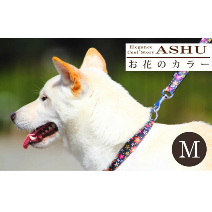 楽天市場 犬 首輪 Ashu お花のカラーｍサイズ 中型犬 中型犬用首輪 花柄 柴犬 ブルー かわいい花柄 ブルー ブラック いぬ イヌ 犬 ペット 種類 犬のアクセサリー コーギー 犬用首輪 かわいい 犬の首輪 フレンチブルドッグ 帝塚山ハウンドカム グッズ ブランド わん