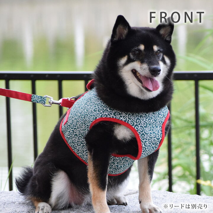 楽天市場 Ashuウェアハーネス 唐草 Xlサイズ 中型犬用 リードは別売り 犬 ハーネス ウェア型ハーネス 中型犬 子犬 老犬 服型 胴輪 簡単 かわいい 唐草模様 人気 柴犬 コッカー ビーグル フレンチブル コーギーアッシュ 洋服の上から 帝塚山ハウンドカム 愛犬手作り