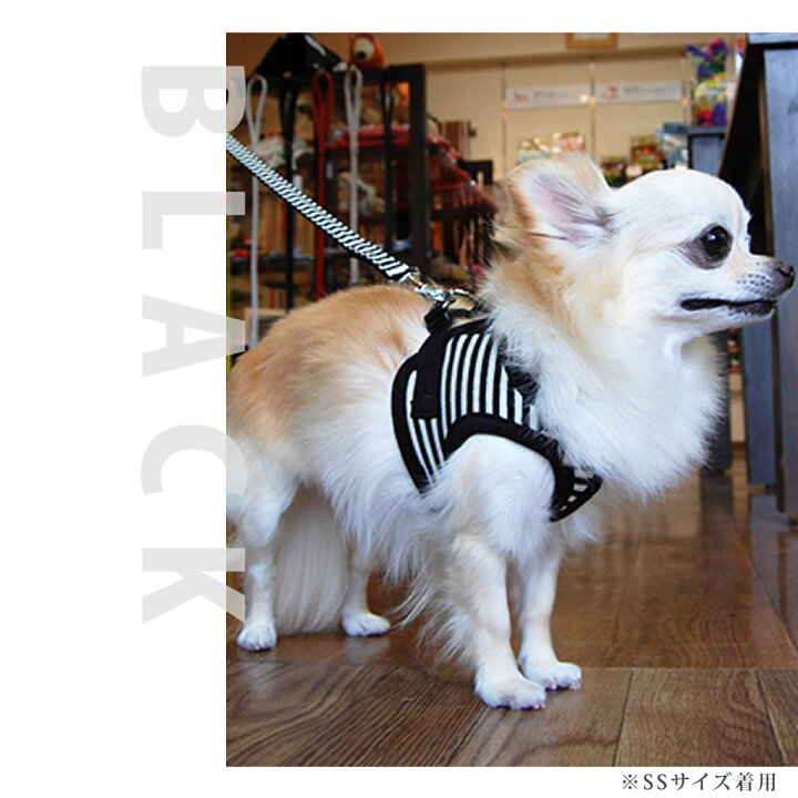 楽天市場 ハーネス セット Ashuウェアハーネスボーダー リードセット M 小型犬パピヨン送料無料 ドッグブランドアッシュ 犬ハーネス ペット用品 ドッグ トイプードル チワワ おしゃれ 犬用ハーネス 散歩用リード ペット用 アッシュ 服の上から 老犬 ハーネス 高齢犬