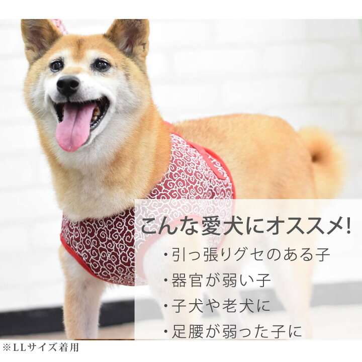 楽天市場 Ashuウェアハーネス 唐草 Llサイズ 中型犬用 リードは別売り 犬 ハーネス 子犬 老犬 服型 簡単 かわいい 唐草模様 人気 柴犬シュナウザー パグ ジャックラッセル フレンチブル グレーハウンドアッシュ 洋服の上から 帝塚山ハウンドカム 愛犬手作りご飯
