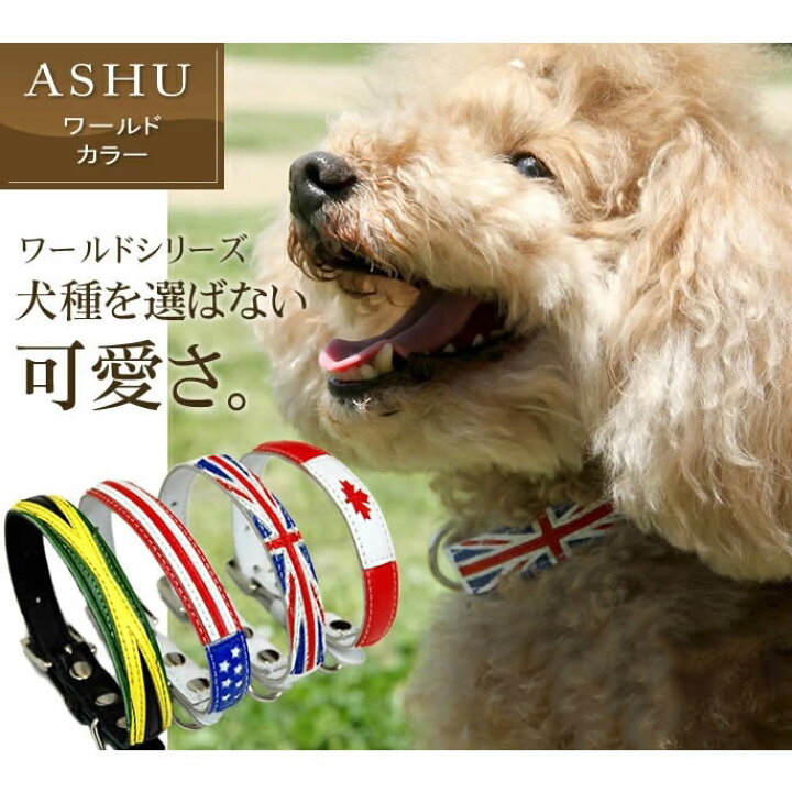 即納最大半額 犬 首輪 革 レザー Ashu サイドループレザーカラー Sサイズ Thecoelement Com