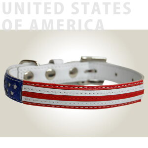   v ASHU [h J[S y[h͕ʔz ^ ȍ fUC i U[  ybgp̃uh