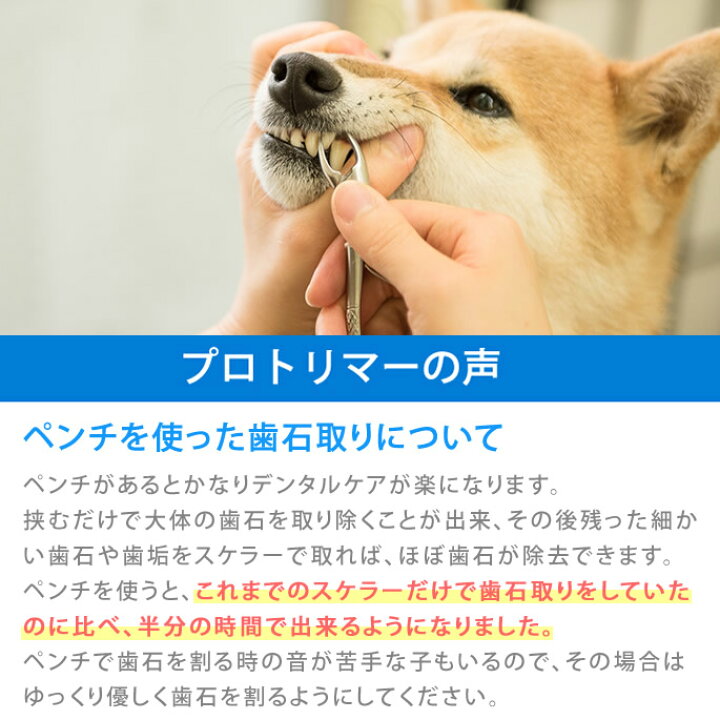 帝塚山ハウンドカム 歯石取りペンチ 犬用 猫用 ステンレス 全長11cm 第2種動物用医療機器製造販売許可 26製販療2第101号 お気にいる 帝塚山ハウンドカム 歯石取りペンチ 犬用 猫用 ステンレス 全長11cm 第2種動物用医療機器製造販売許可 26製販療2第101号 お気にいる