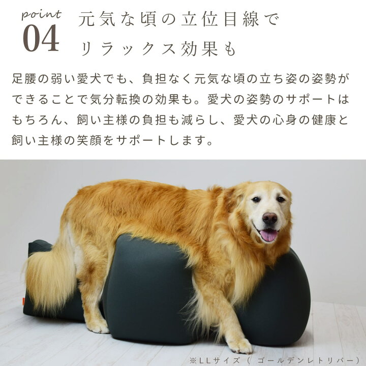 楽天市場】【愛犬用ベッド】 リラクッション M ブラウン【立位保定  