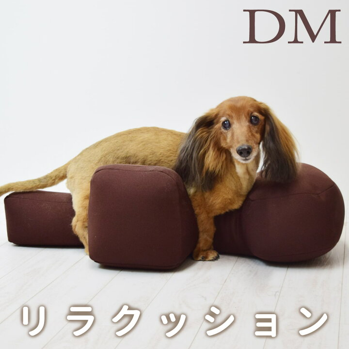 楽天市場】【愛犬用ベッド】 リラクッション DM ブラウン【立位保定  