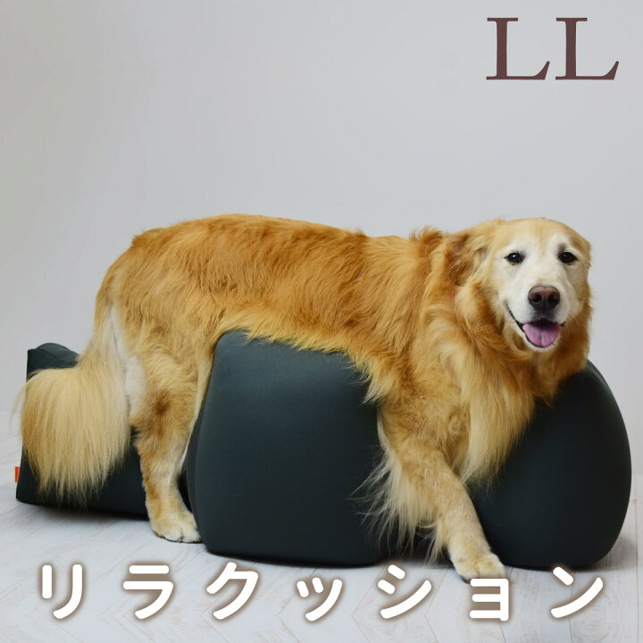 楽天市場】【愛犬用ベッド】 リラクッション LL チャコールグレー【立  
