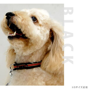   ASHU*C J[MTCY p U  ̃ObYy ^ ̎  ViEU[ Č WbNbZ R[M[ V[Y _bNX U  