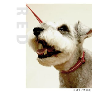 愛犬 首輪 ASHU*ワンライン カラーMサイズ 犬用首輪 お散歩 可愛い 犬のグッズ【犬首輪 中型犬 犬の首輪 おしゃれ シュナウザー 柴犬 ジャックラッセル コーギー シーズ ダックス 犬散歩 豆柴