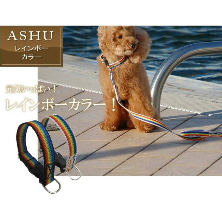 楽天市場 愛犬 首輪 Ashu レインボー カラー Mサイズ 首輪 中型犬 テープタイプ トイプードル 柴犬 シンプル デザイン首輪 カラフル イヌ 犬 ペット 犬用首輪 ネックレス 種類 犬のアクセサリー コーギー 柴犬 かわいい 犬の首輪 フレンチブルドッグ グッズ わんちゃん